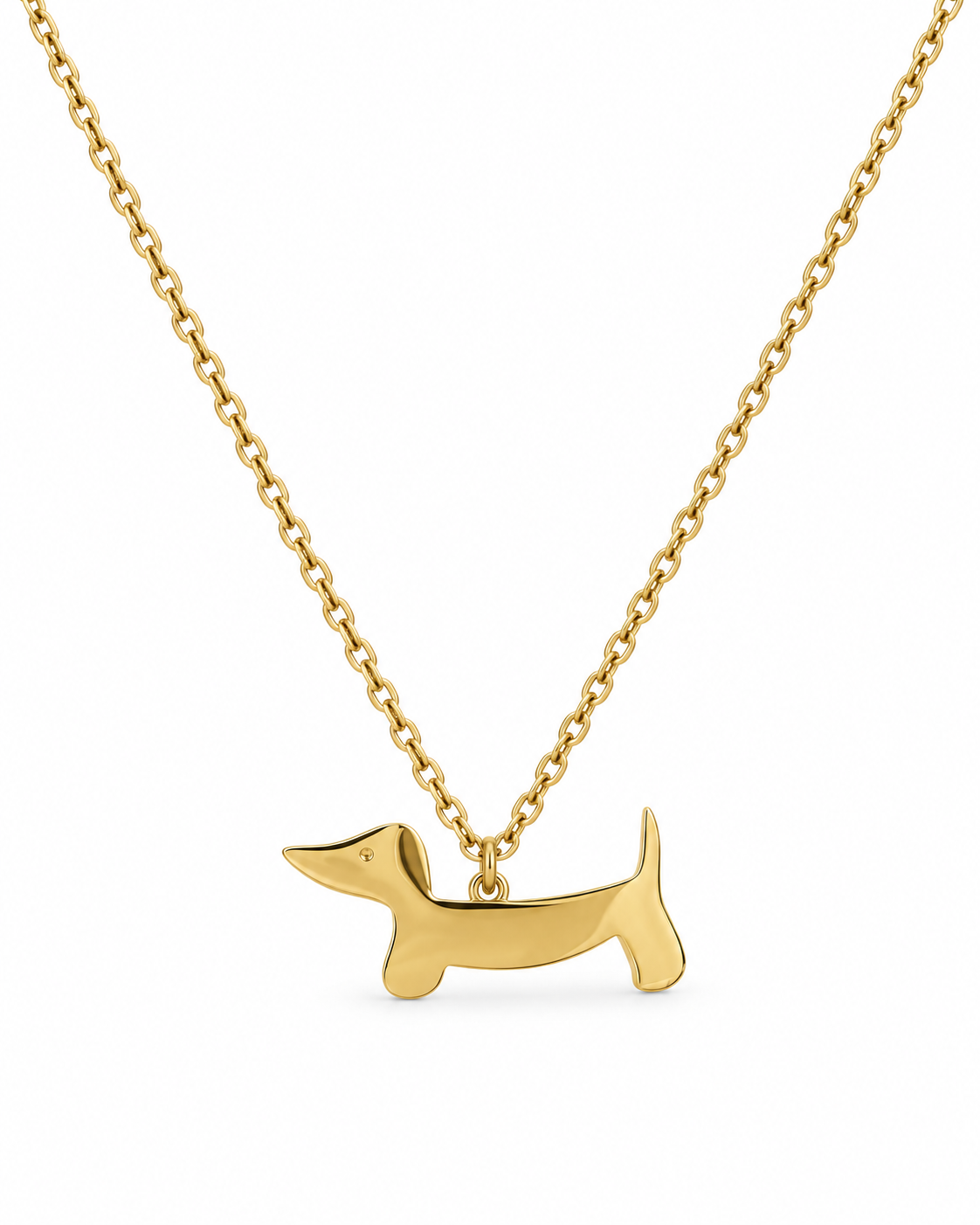 Collar perrito