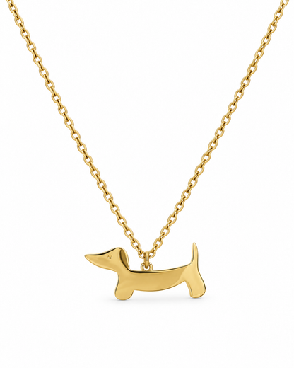 Collar perrito